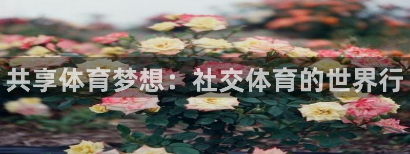 捷报比分触屏：共享体育梦想：社交体育的世界行