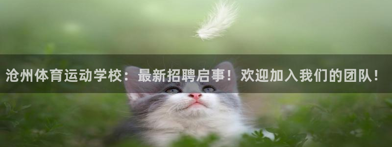 体育比分 捷报：沧州体育运动学校：最新招聘启事！欢迎加入我们的团队！