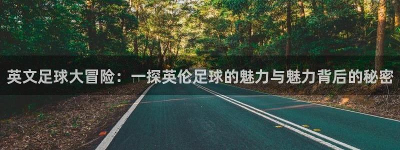 捷报篮球