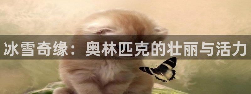 捷报体育：冰雪奇缘：奥林匹克的壮丽与活力
